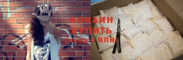 твердый Арсеньев