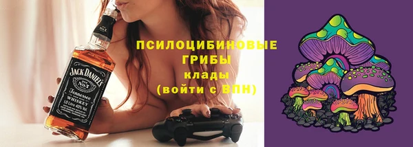 твердый Арсеньев