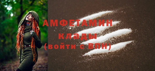 твердый Арсеньев