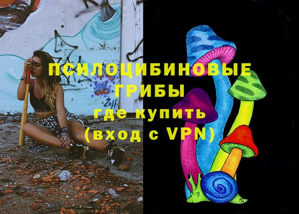 твердый Арсеньев