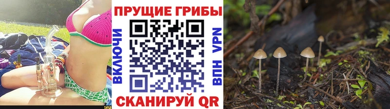 Галлюциногенные грибы GOLDEN TEACHER  Покров 